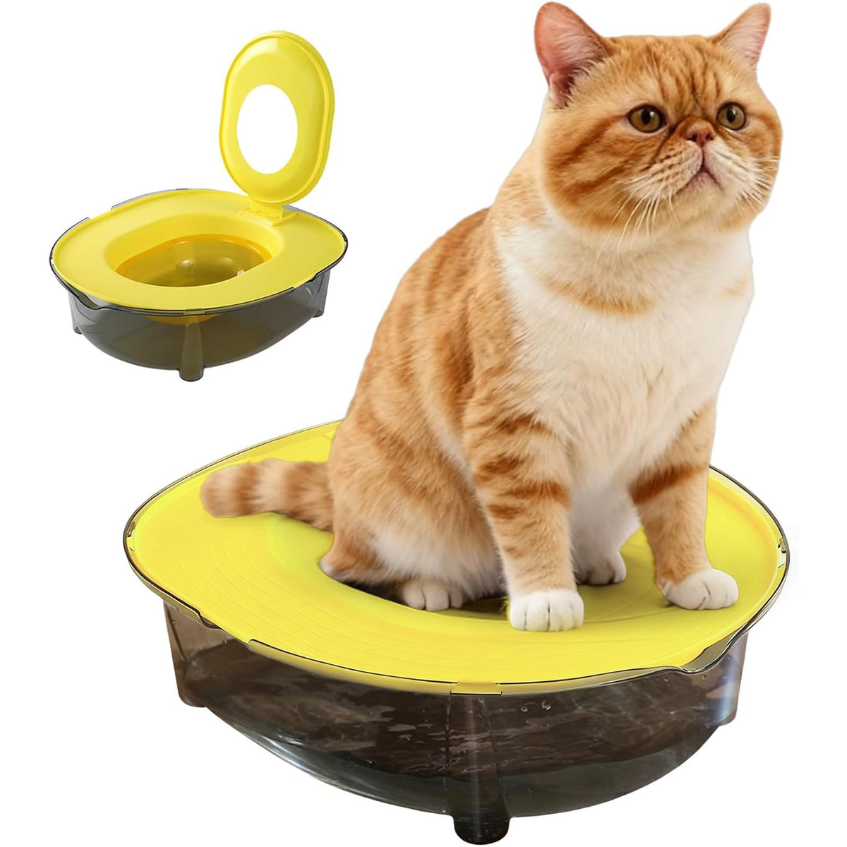 Cat Litter Pan Set with Bottom Bowl, Removable Anti-Splash Kitten Toilet for Home and Apartment Potty Routines, Blue Pink or Yellow