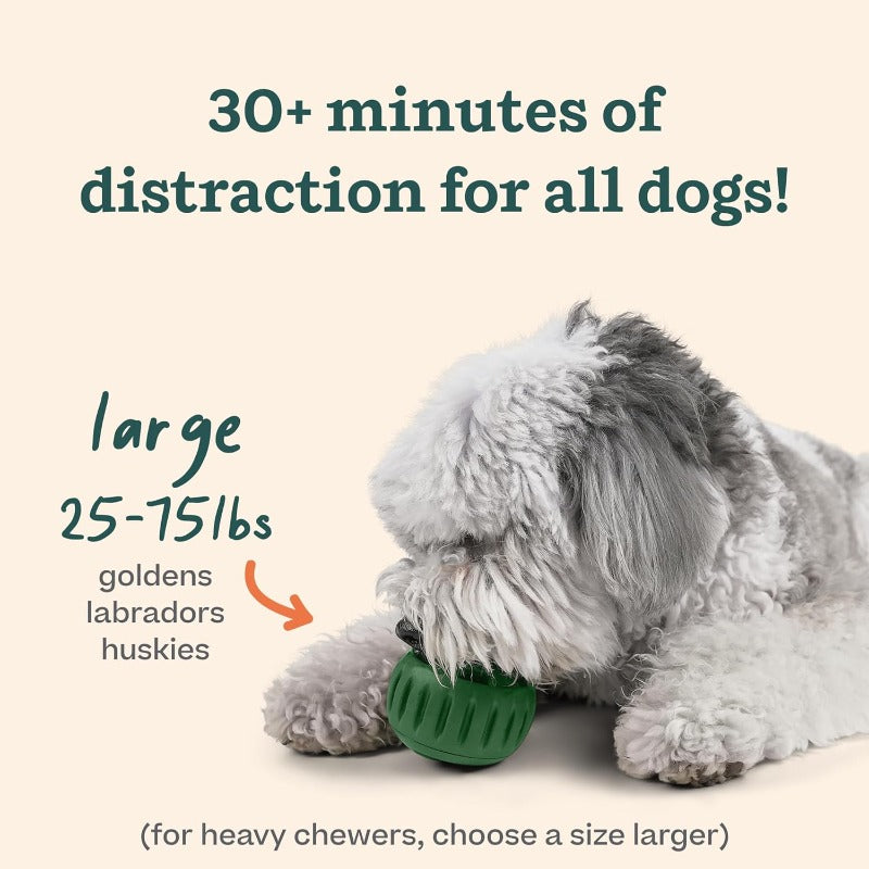 Dog Treat Ball and Tray Mold Set, 2-Piece Battery-Free Interactive Chew Toy Kit for Supervised Enrichment, Orange or Green Ball Options