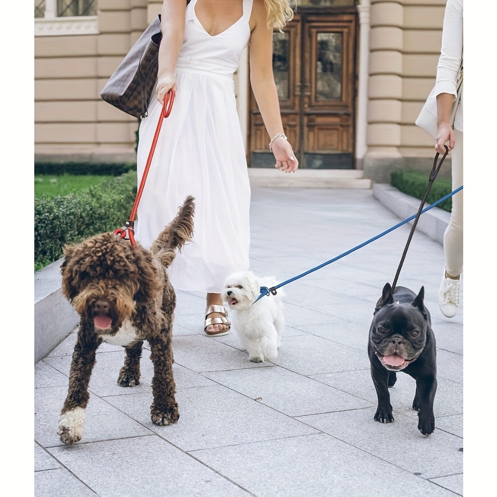 Slip Lead Dog Leash 5-Pack in Mixed Colors, Nylon Rope Leads with Adjustable Neck Loop, Metal Ring and Stopper for Supervised Walking and Training