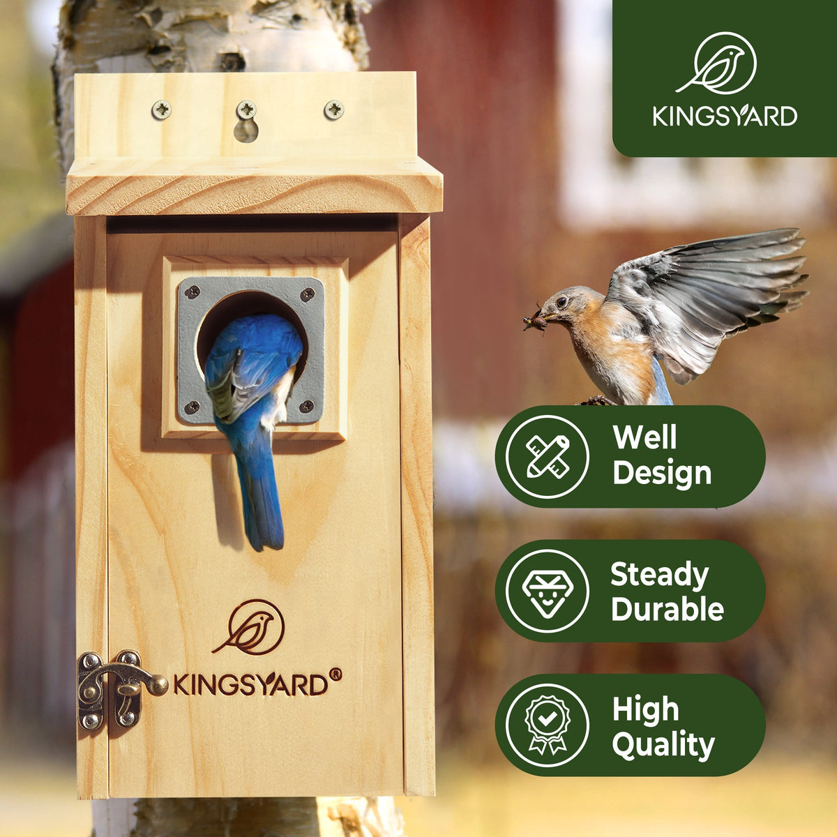 Cedar Bird House for Outside with Stainless Steel Guard, Wood Color Nesting Box for Backyard Gardens, Outdoor Decor and Bird Lover Gifts