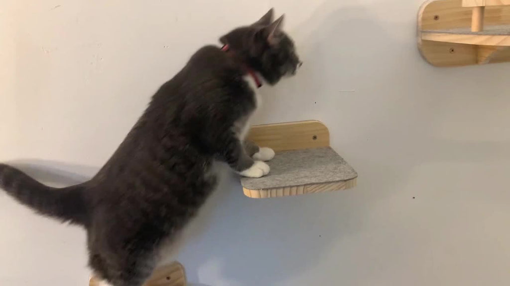 Corner Cat Shelves with 4 Climbing Steps, 13 x 13 Inch Wall-Mounted Wooden Cat Bed with 6 Felt Pads for Small and Medium Indoor Cats
