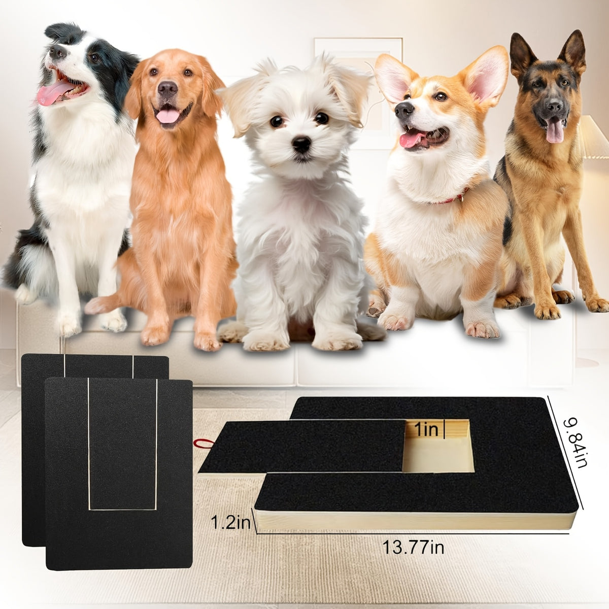 Dog Nail Scratch Pad with Treat Drawer, Interactive Paw Filing Board for Reward-Based Home Grooming, Board and Replacement Sandpaper Options