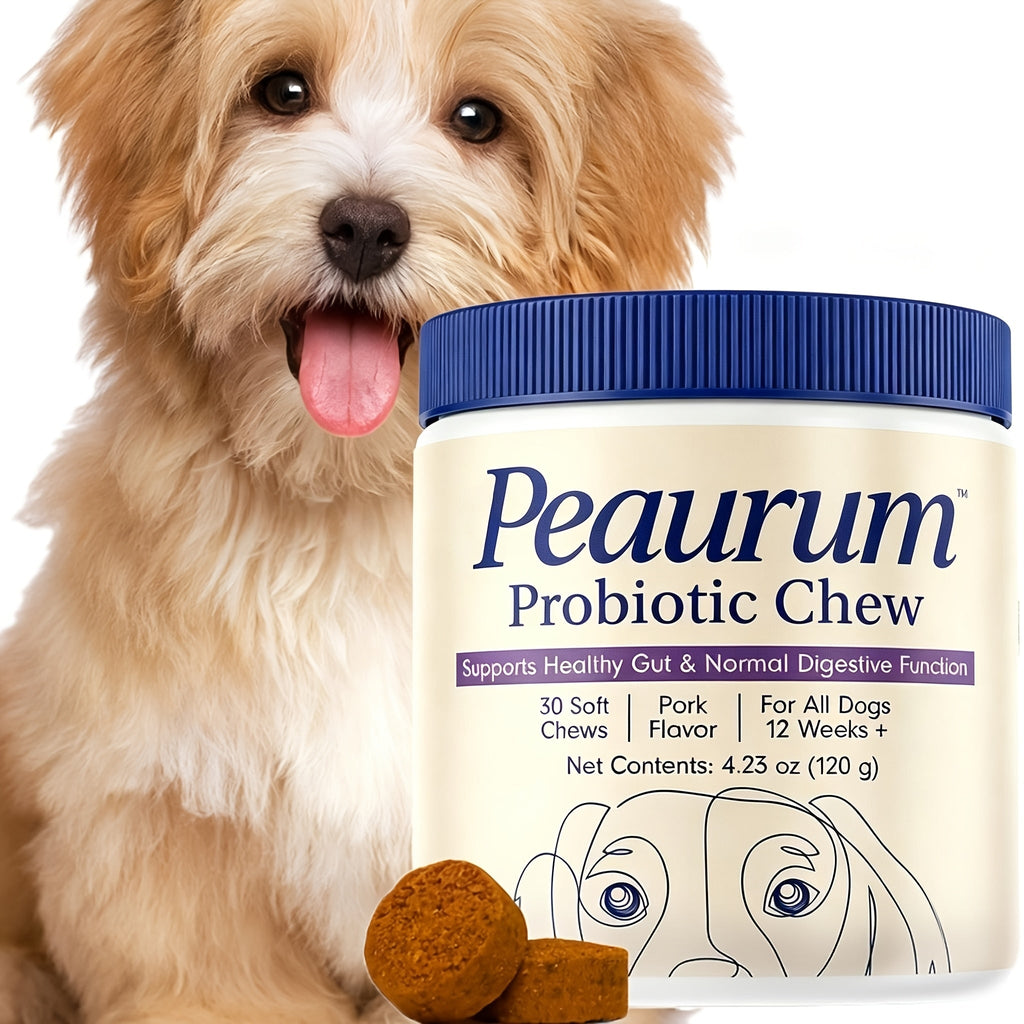 Dog Probiotic Supplement in 1 or 2 Pack Options, Listed 120g Capacity for Owner-Managed Canine Nutrition and Everyday Pet Wellness Routines