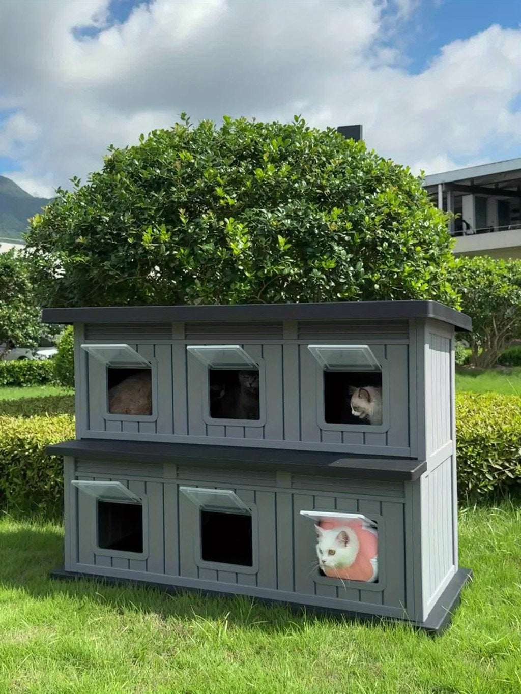 Feral Cat Shelter with Double-Layer Design, Black Indoor Outdoor Cat House for Stray Cats and Multi-Pet Resting Spaces, Sturdy Construction