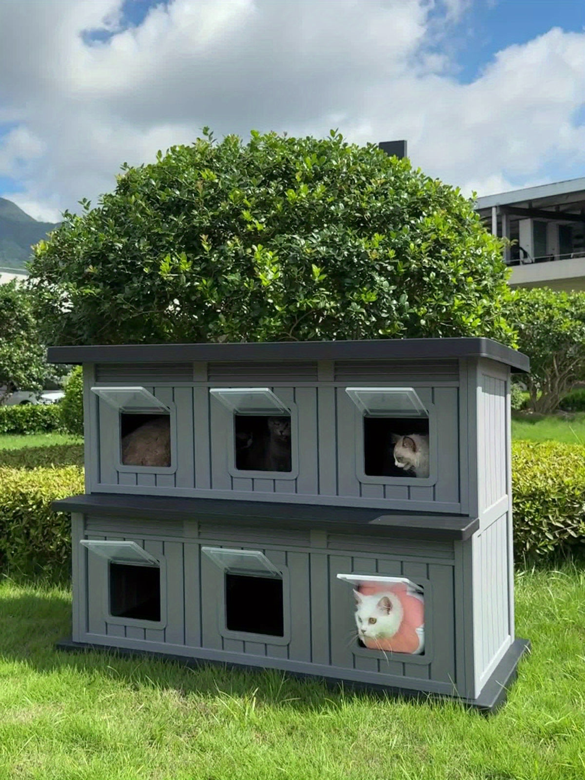Feral Cat Shelter with Double-Layer Design, Black Indoor Outdoor Cat House for Stray Cats and Multi-Pet Resting Spaces, Sturdy Construction