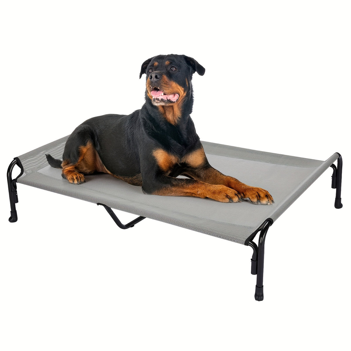 Elevated Dog Bed with Sloped Headrest, Breathable Raised Pet Cot in M to XXL Sizes for Indoor Lounging, Outdoor Rest and Camping