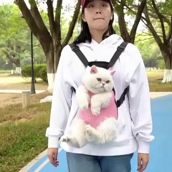 Front Chest Pet Carrier Backpack, L Size Breathable Mesh Travel Bag for Small and Medium Dogs and Cats, Lightweight Outdoor Walking Carrier