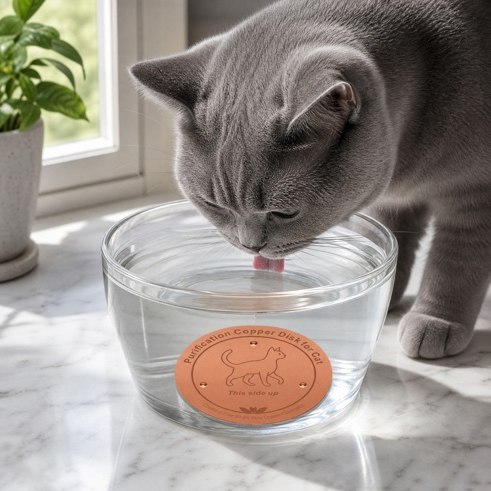 Copper Water Bowl Discs for Pets, 2-Pack 4-Inch Cat Pattern Inserts with Three-Point Support, Reusable Accessories for Pet Watering Stations