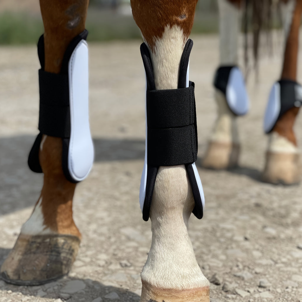 Horse Tendon Boots Set of 4, Open Front and Fetlock Leg Guards in PU and Neoprene for Riding, Jumping and Training, FULL and COB Size Options