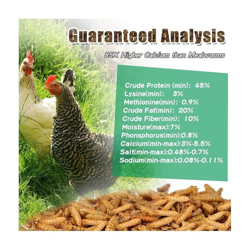 Bulk Chicken Grubs, Dried Black Soldier Fly Larvae Treats in 10, 20 or 40 lb Sizes for Backyard Chickens, Ducks and Quail Feeding Routines