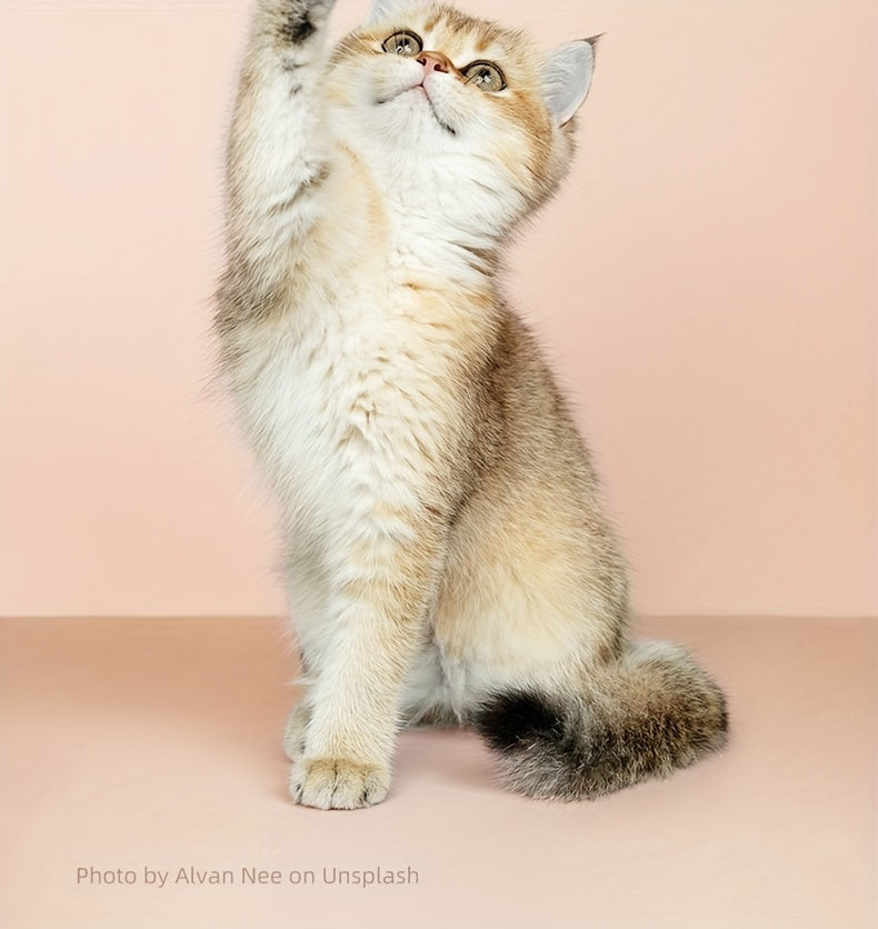 Pet Grooming Clippers for Cats and Small Dogs, White Low-Noise Hair Trimmer with USB and Battery Power for Home and Travel Grooming