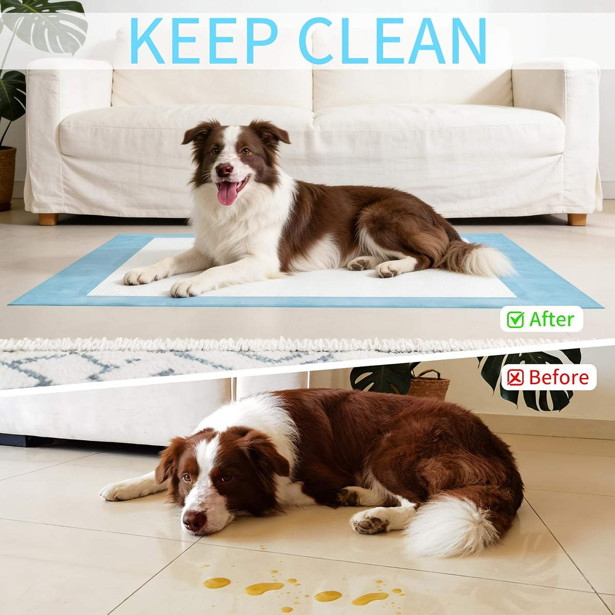 Dog Pee Pads 32 x 55 Inch, 40 Count Extra Large Absorbent Puppy Potty Training Pads with Quick-Drying Design, Leak Protection and Odor Control