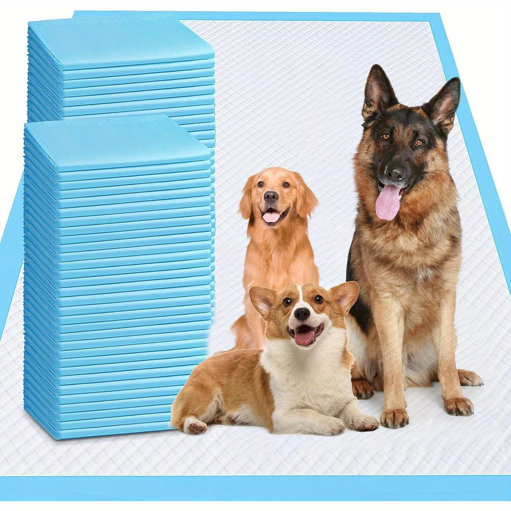 Extra Large Puppy Pee Pads 31 x 47 Inch, 40 Count Thickened Disposable Absorbent Dog Potty Training Pads with Leak Protection for Indoor Cleanup