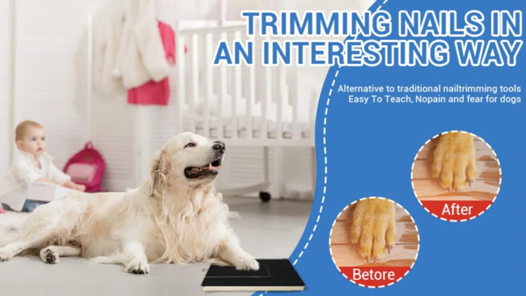 Dog Nail Scratch Pad with Treat Drawer, Interactive Paw Filing Board for Reward-Based Home Grooming, Board and Replacement Sandpaper Options