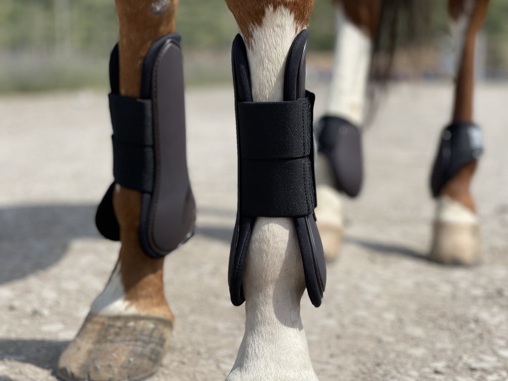 Horse Tendon Boots Set of 4, Open Front and Fetlock Leg Guards in PU and Neoprene for Riding, Jumping and Training, FULL and COB Size Options