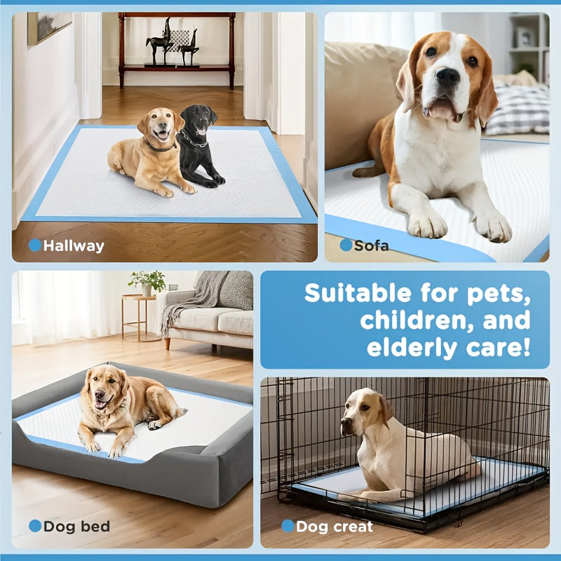 Disposable Dog Pee Pads 200 Count, 23.6 x 23.6 Inch Puppy Potty Training Pads with Absorbency and Odor Control for Everyday Pet Care