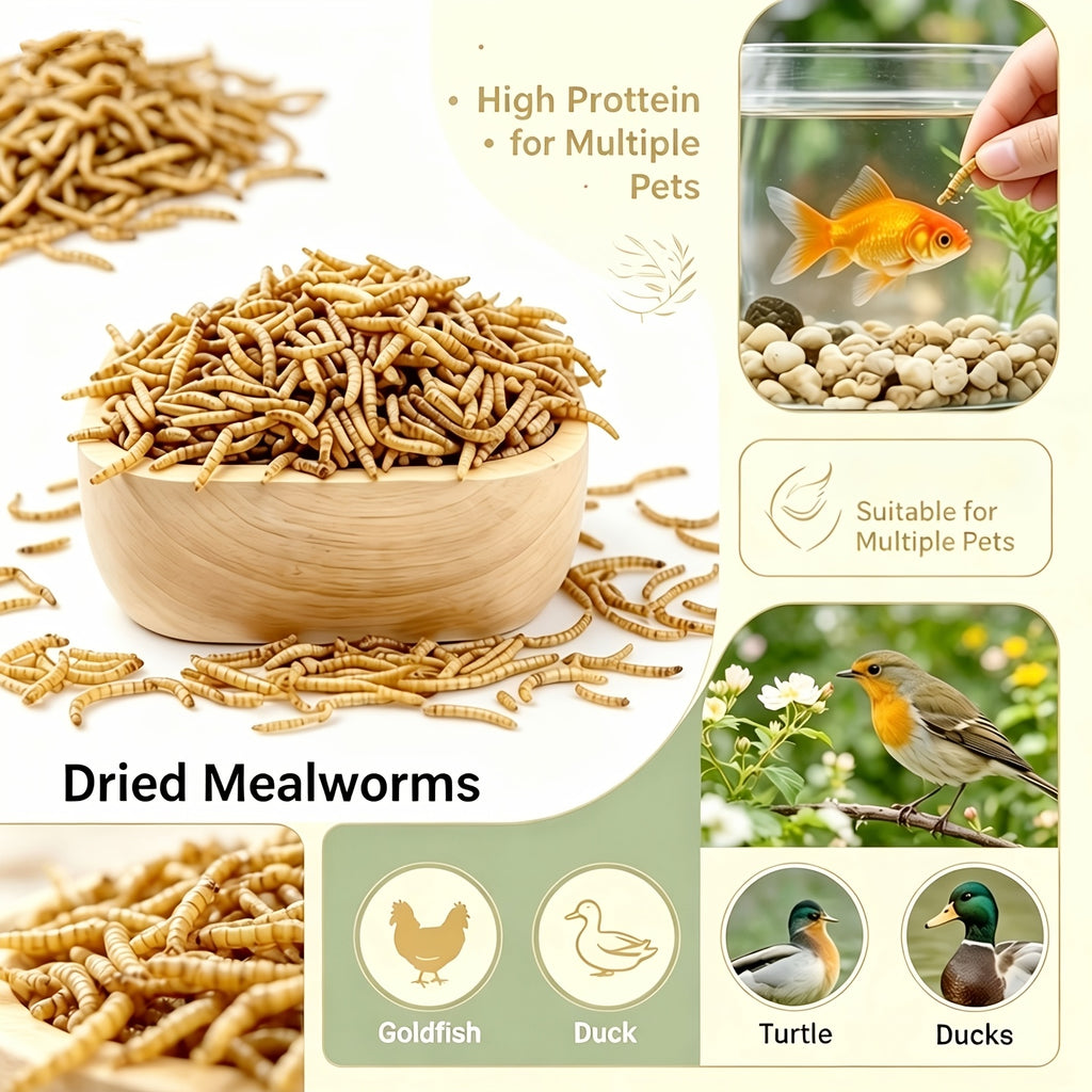 Dried Black Soldier Fly Treats 17.99oz, Larvae Snacks Listed for Chickens, Ducks, Birds and Hamsters, Supplemental Insect Feed for Animal Care