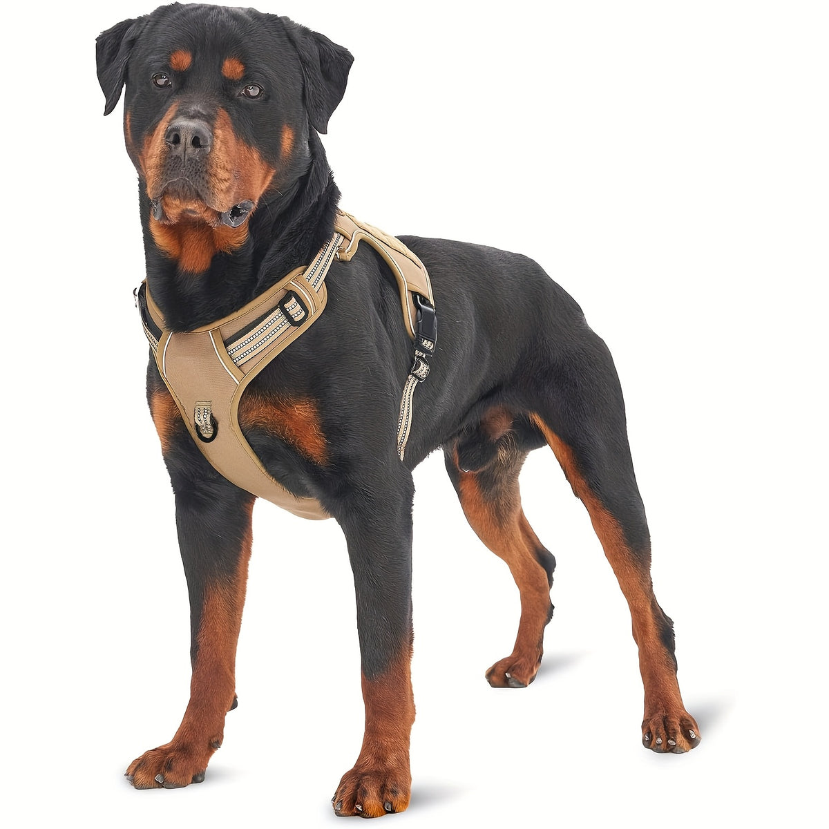 Military-Style Dog Harness with Reflective Details and Control Handle, No-Pull Polyester Walking Vest in Five Colors, S to XL for Everyday Training
