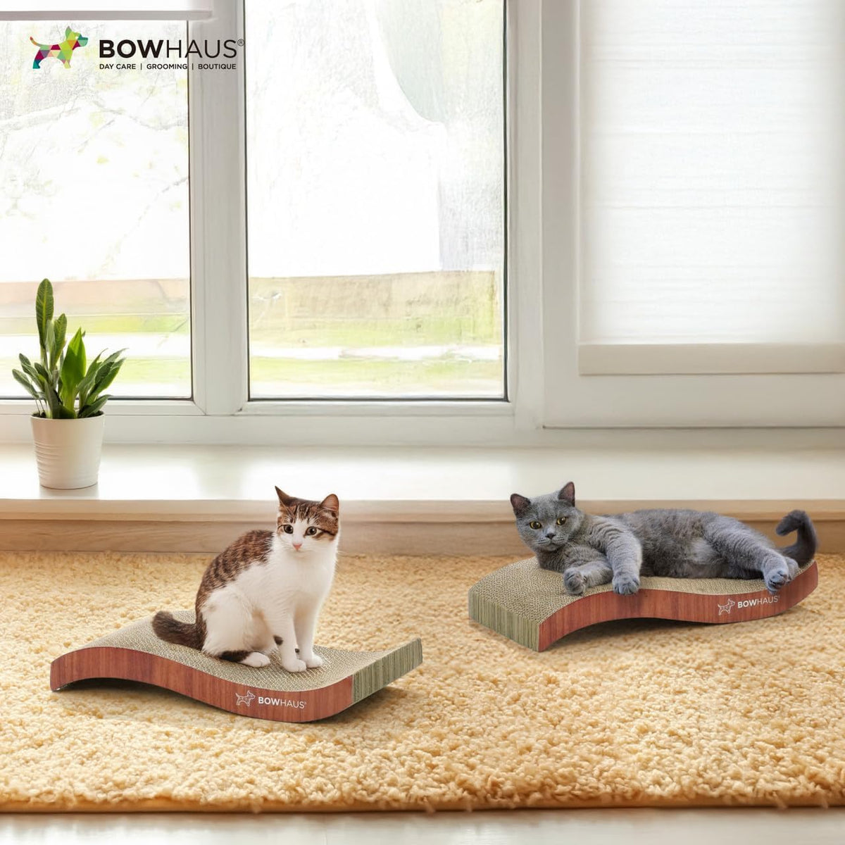 Reversible Cat Scratcher Lounger for Indoor Cats, Large Scratching Pad for Daily Stretching and Rest, Basic 8-Piece or Curved 1-Piece Options