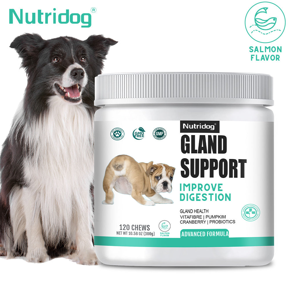 Dog Anal Gland Support Chews, Nutridog Salmon Soft Chews with Pumpkin, Psyllium Husk and Probiotics, 120-Count Fiber Supplement, 300g