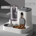 Cat Feeding Station with Food and Water Dispenser Options, Colorful Pet Feeder or Rolling Ball Slow Feeder Bowl for Everyday Indoor Meals