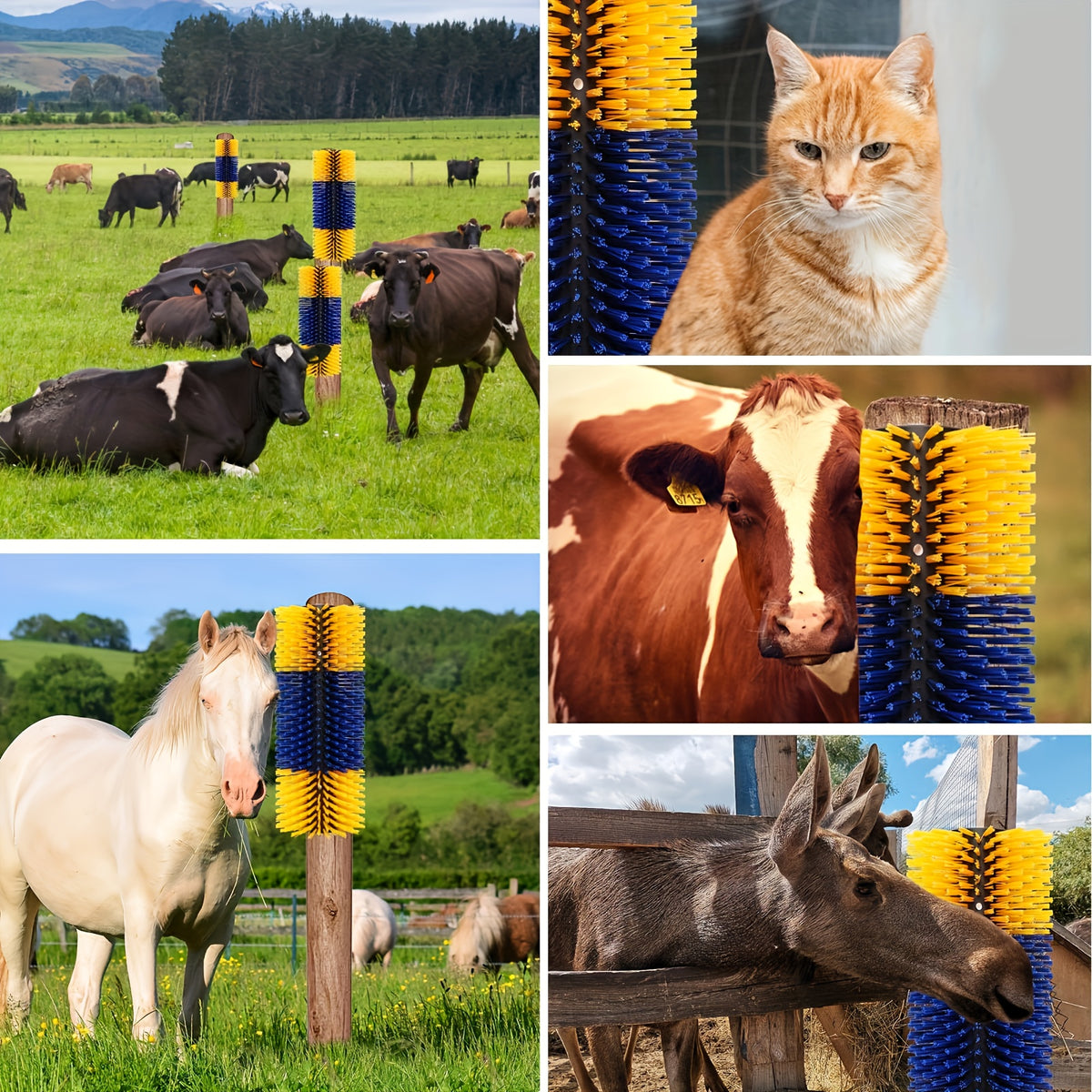 Horse Grooming Scratcher Set for Cattle and Livestock, 2 or 4 Pieces with Rounded Edges and Screws, Color Options and Selected Cleaning Brush Bundles