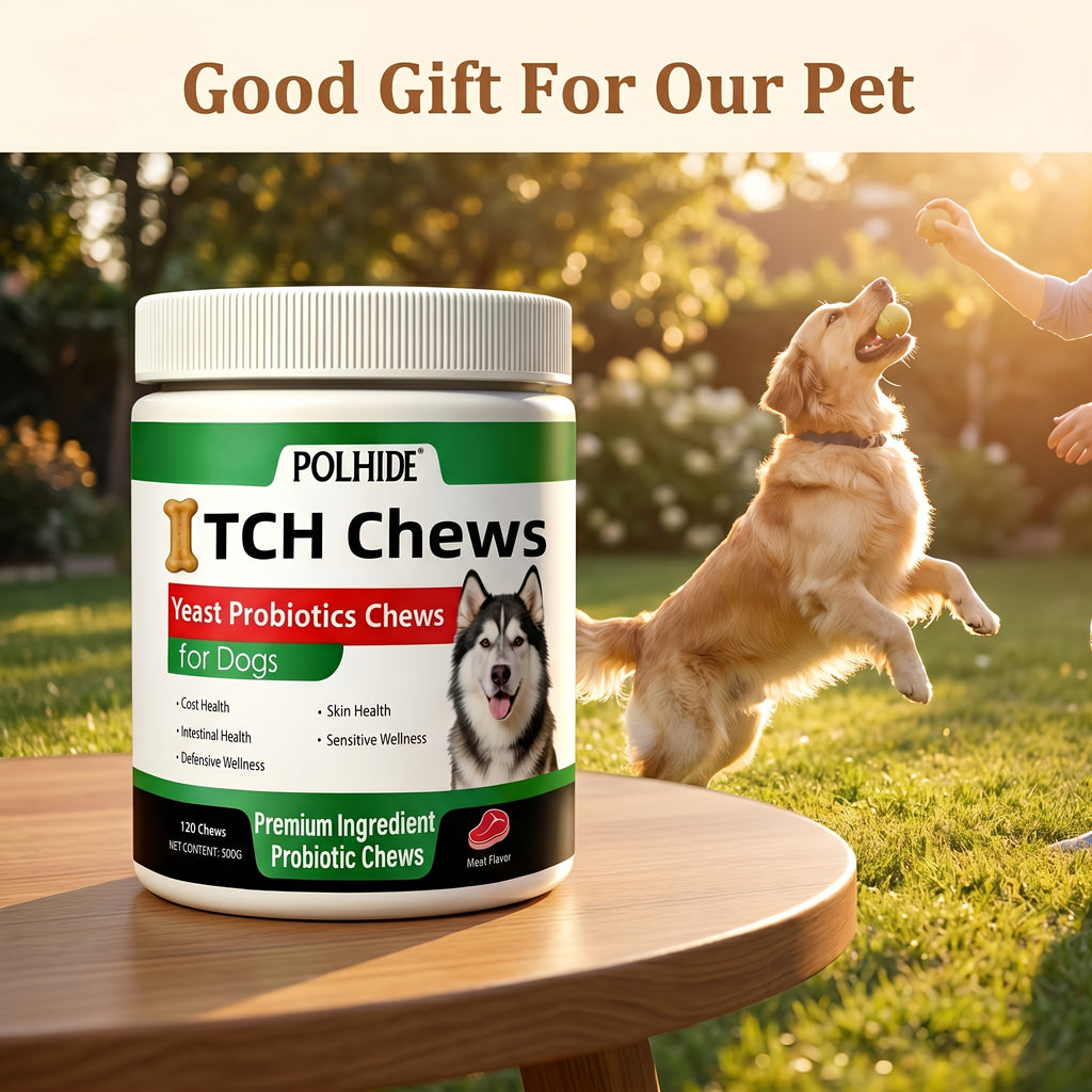 Dog Probiotic Supplement Chews, 120 Count Meat Flavor Yeast Soft Chews in One Bottle for Everyday Canine Skin, Coat and Digestive Care Routines