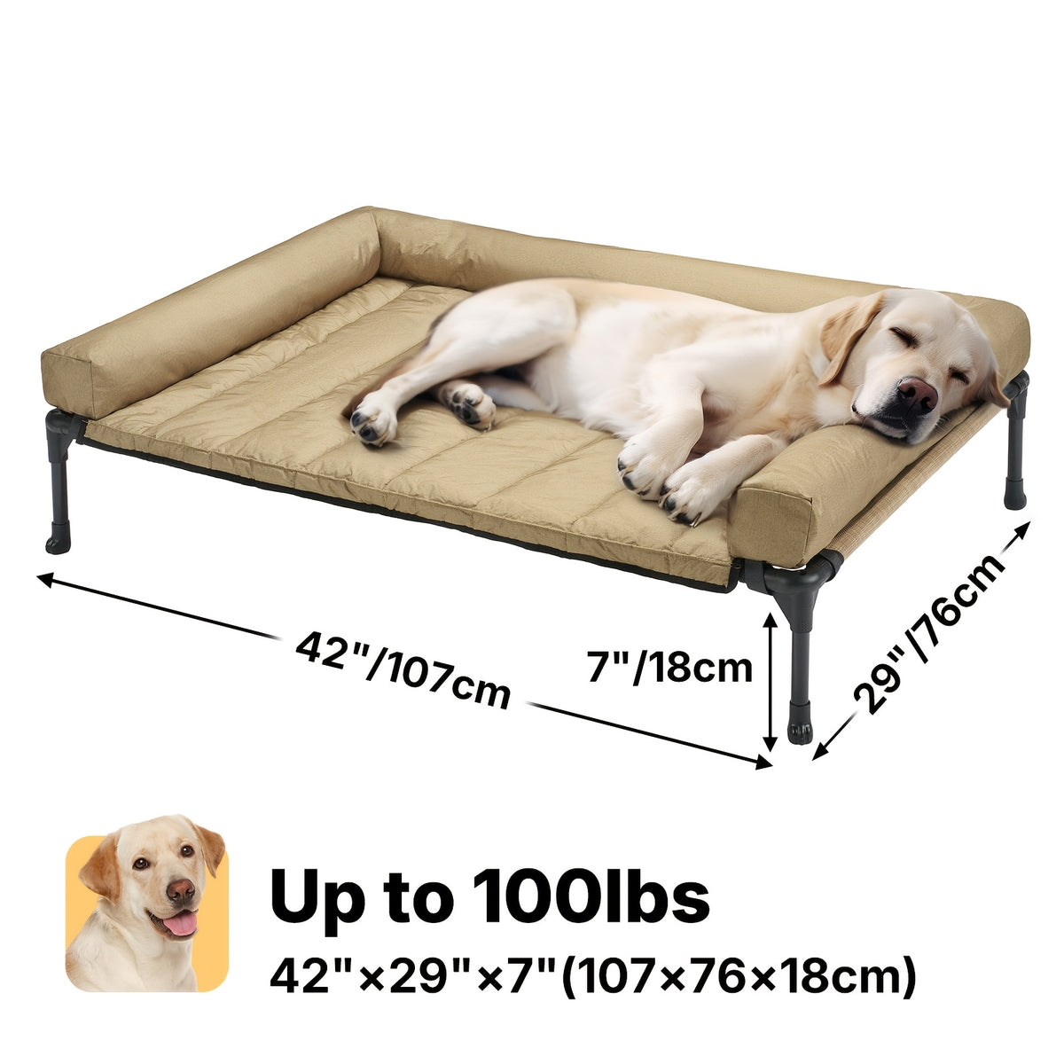 Elevated Dog Bed with Removable Pillow-Top Mat, Three-Sided Bolster Pet Cot with Breathable Teslin Mesh, Steel Frame and Non-Slip Feet in Four Sizes