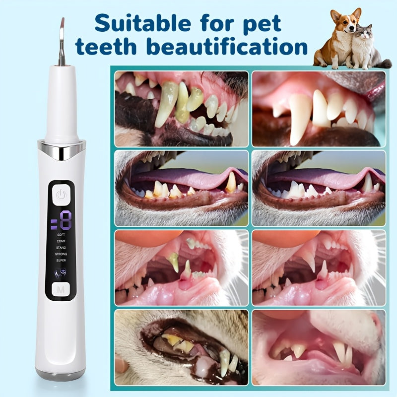 Electric Pet Tooth Cleaner for Dogs and Cats, USB Rechargeable Oral Care Kit with Sonic and Manual Modes, White Dental Cleaning Tool