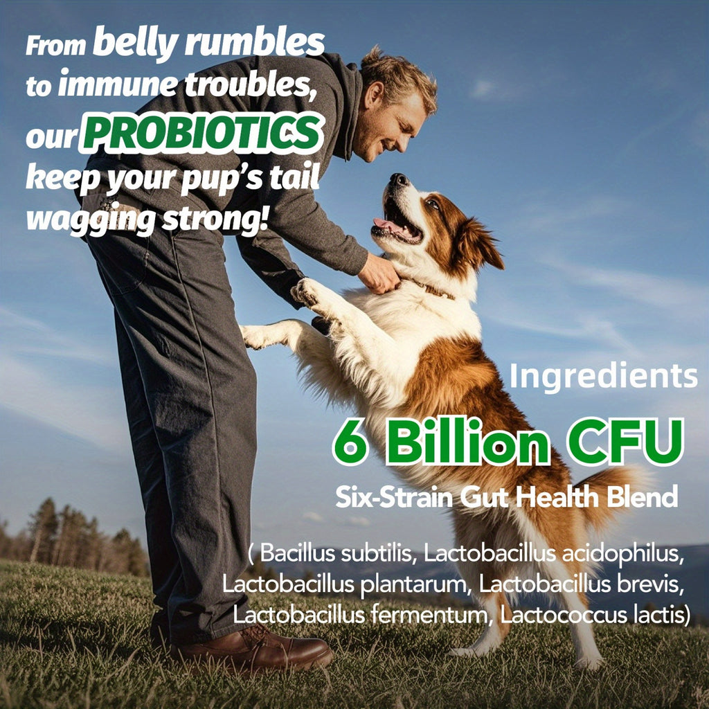 Chicken-Flavored Probiotic Chews for Dogs, Listed 90 Soft Chews with One or Three Bottle Options for Owner-Managed Canine Nutrition Routines