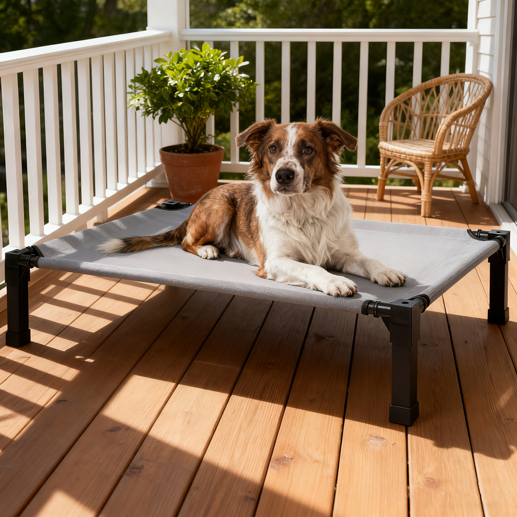 Raised Mesh Dog Bed with Metal Frame and Non-Slip Feet, Washable Breathable Pet Cot in 35 to 60 Inch Sizes for Indoor and Outdoor Lounging