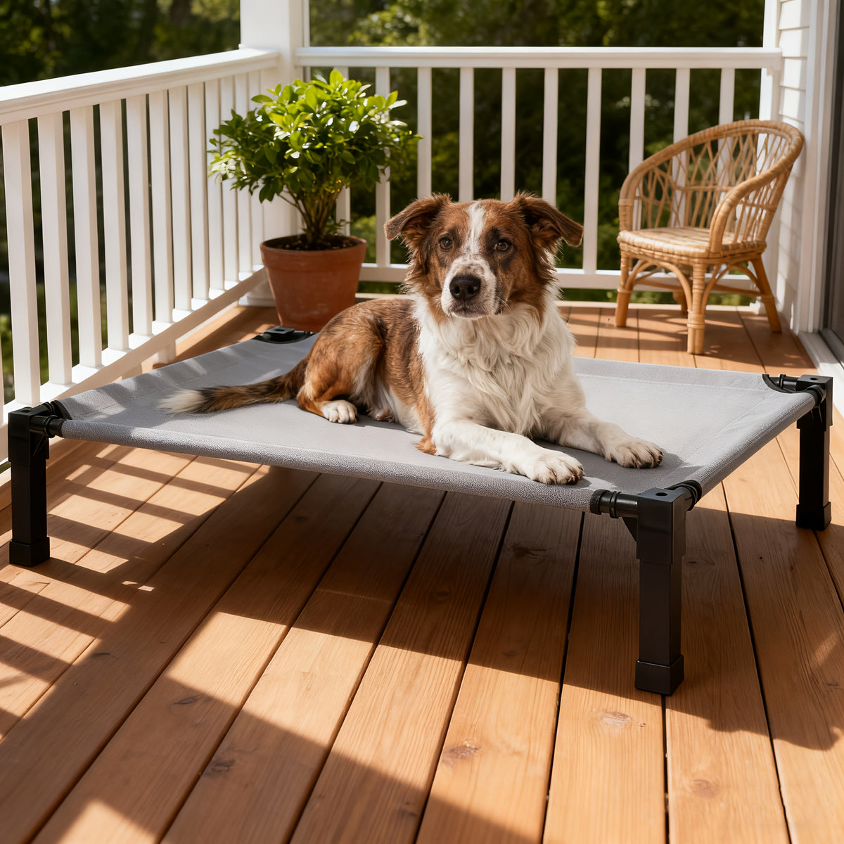 Raised Mesh Dog Bed with Metal Frame and Non-Slip Feet, Washable Breathable Pet Cot in 35 to 60 Inch Sizes for Indoor and Outdoor Lounging