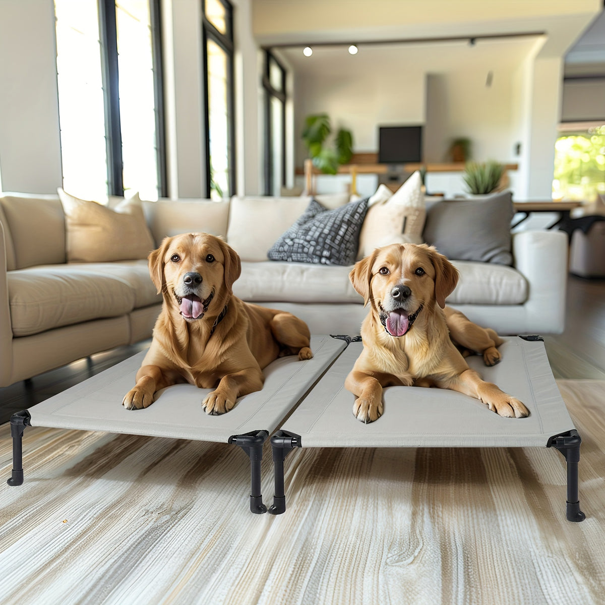 Elevated Dog Bed 2 Pack for Large Dogs, 42 x 30 Inch Breathable Mesh Raised Cots with Non-Slip Feet, Tool-Free Assembly for Indoor, Patio and Camping