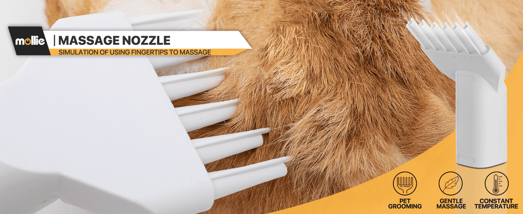 Dog Grooming Vacuum and Dryer Kit with 6 Grooming Tools, Trimmer and Guide Combs for At-Home Dog and Cat Coat Care, MoNiBloom