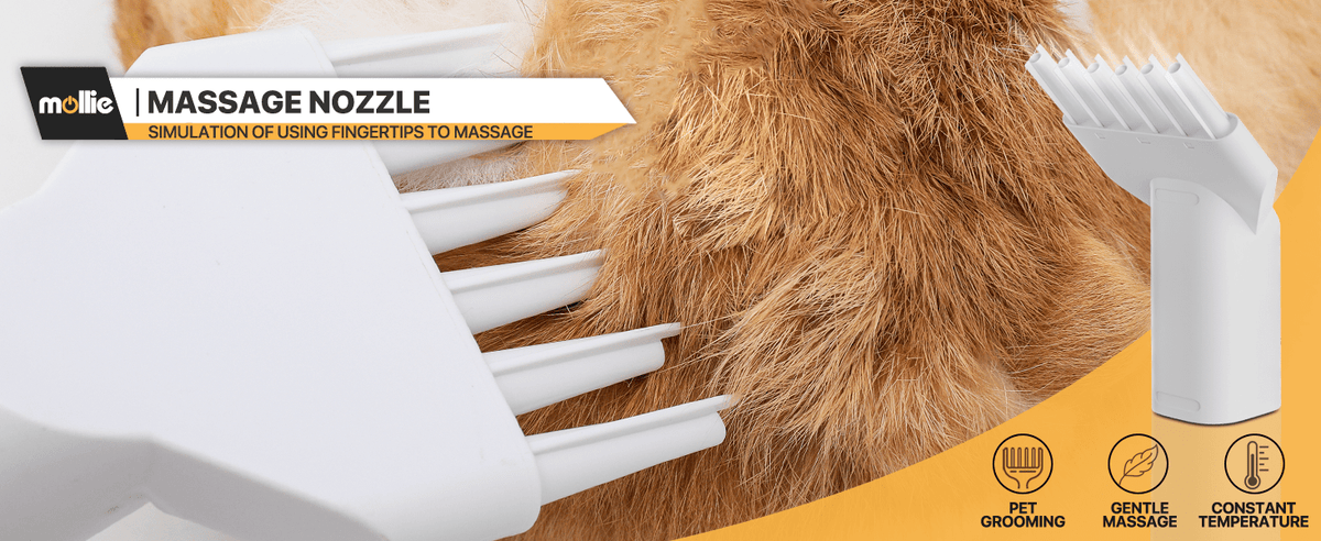 Dog Grooming Vacuum and Dryer Kit with 6 Grooming Tools, Trimmer and Guide Combs for At-Home Dog and Cat Coat Care, MoNiBloom