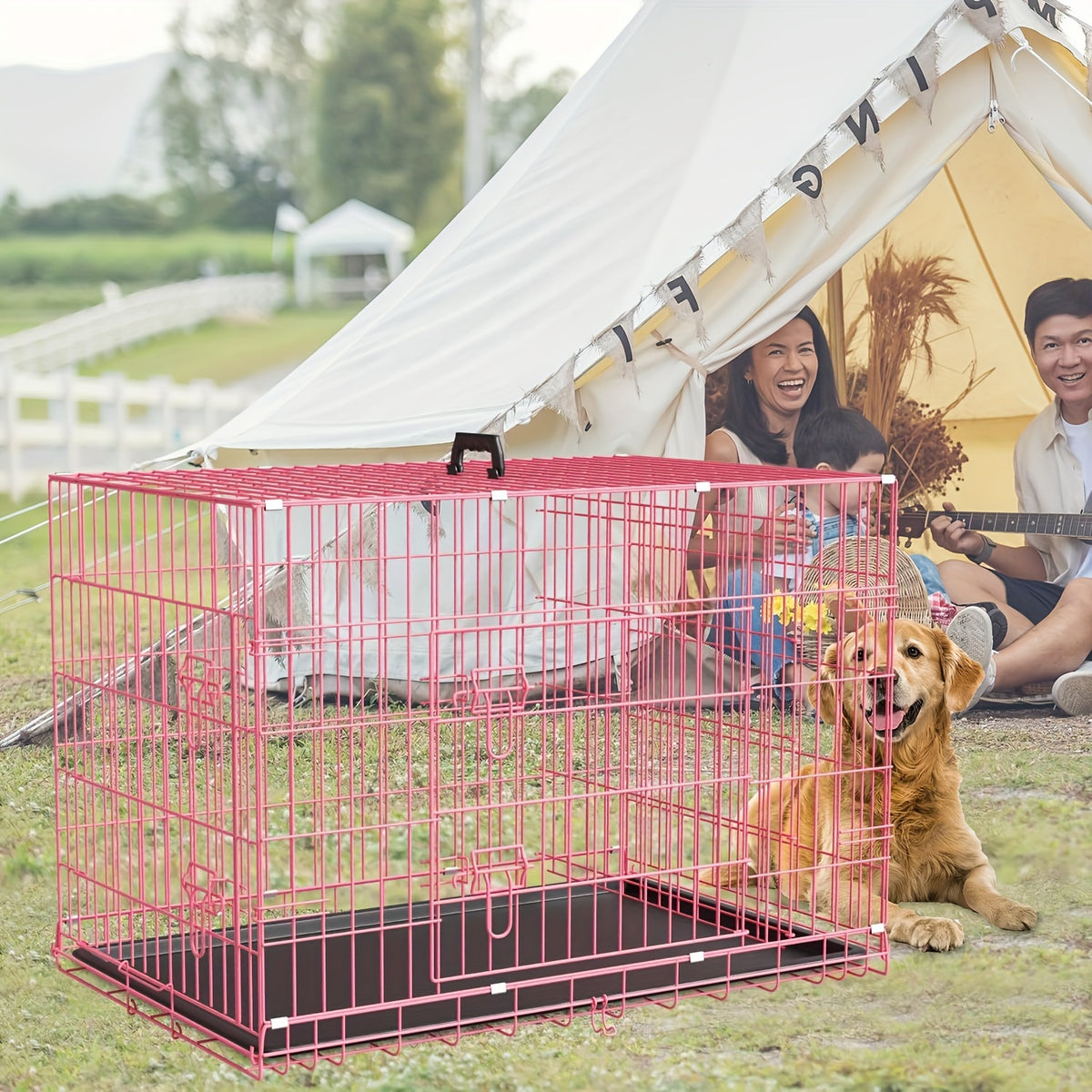 Dog Crate 42 or 48 Inch with Double Doors, Folding Metal Wire Kennel with Divider and Removable Leak-Proof Tray in Black, Blue or Pink for Home Training