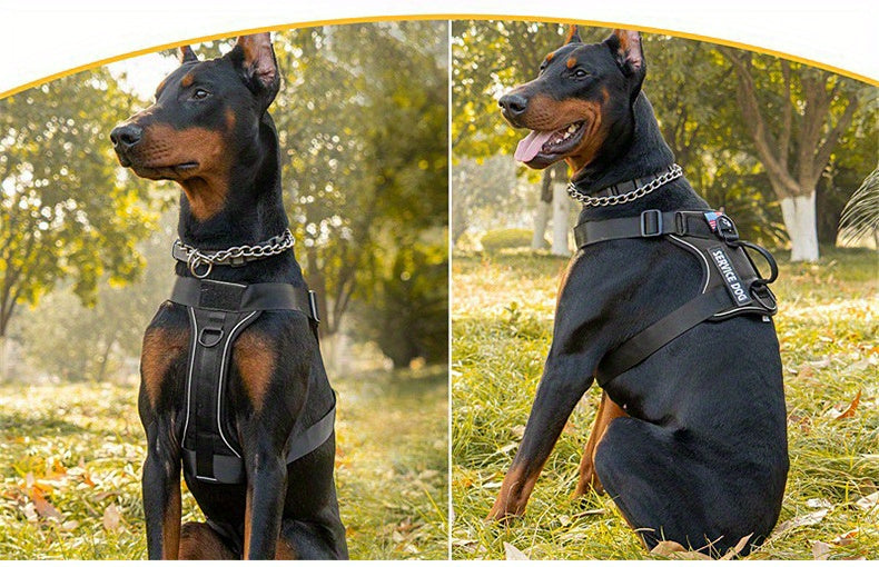 Dog Harness with 3 Patches, Reflective Adjustable Oxford Vest with Breathable Mesh Lining and Chest and Back Leash Loops for Walking, S to XL
