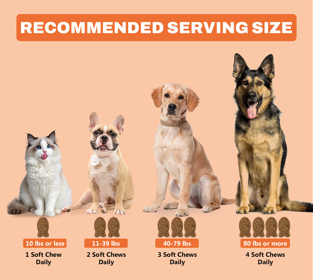 Salmon Oil Soft Chews for Dogs and Cats, 120 Count Omega-3 Fish Oil Supplement for Skin and Coat Care, Salmon Flavor Pet Chews, 300g