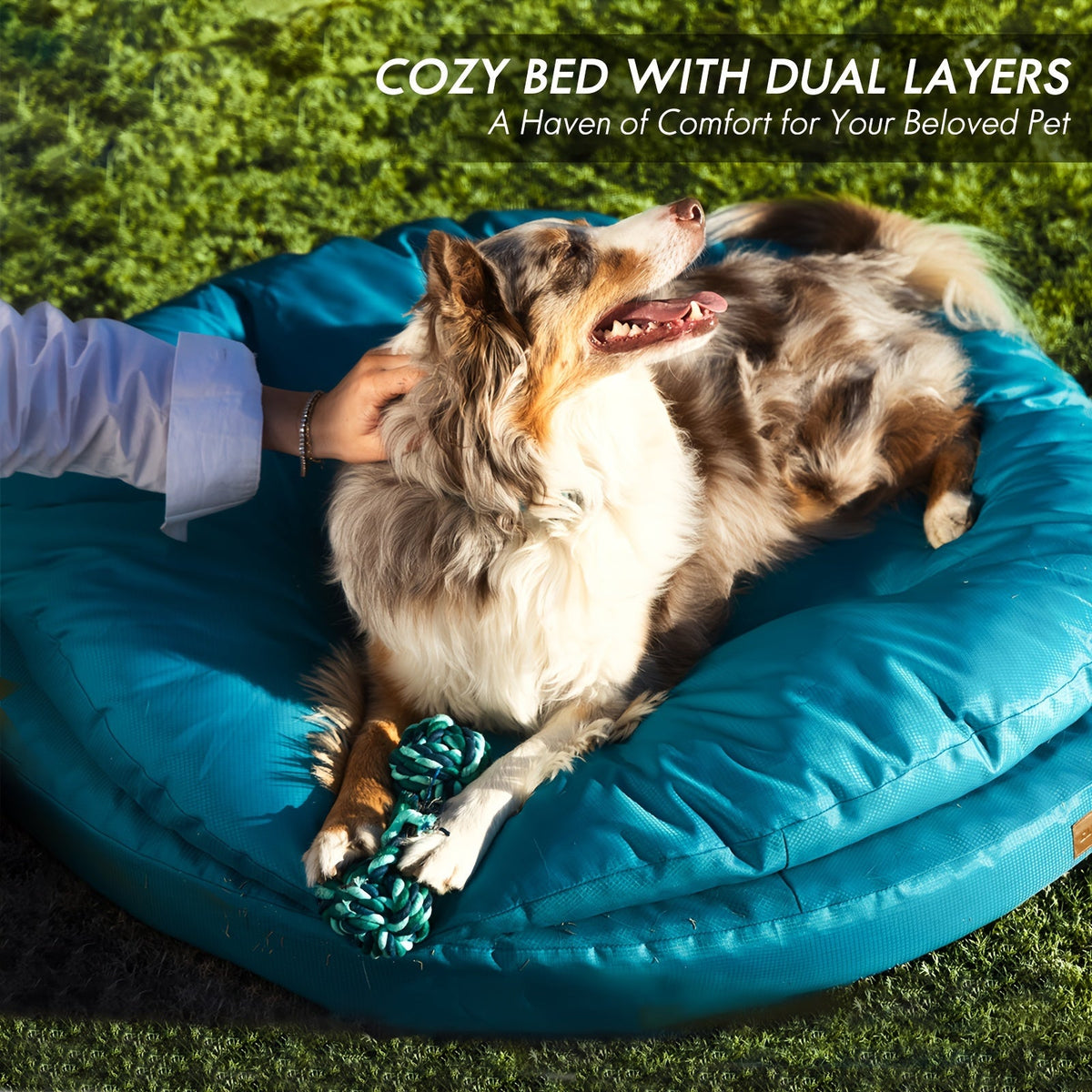 Round Orthopedic Dog Bed for Large Dogs, Dual-Layer Pet Lounger with Washable Cover and Non-Slip Bottom, 36 or 42 Inch in Two Colors