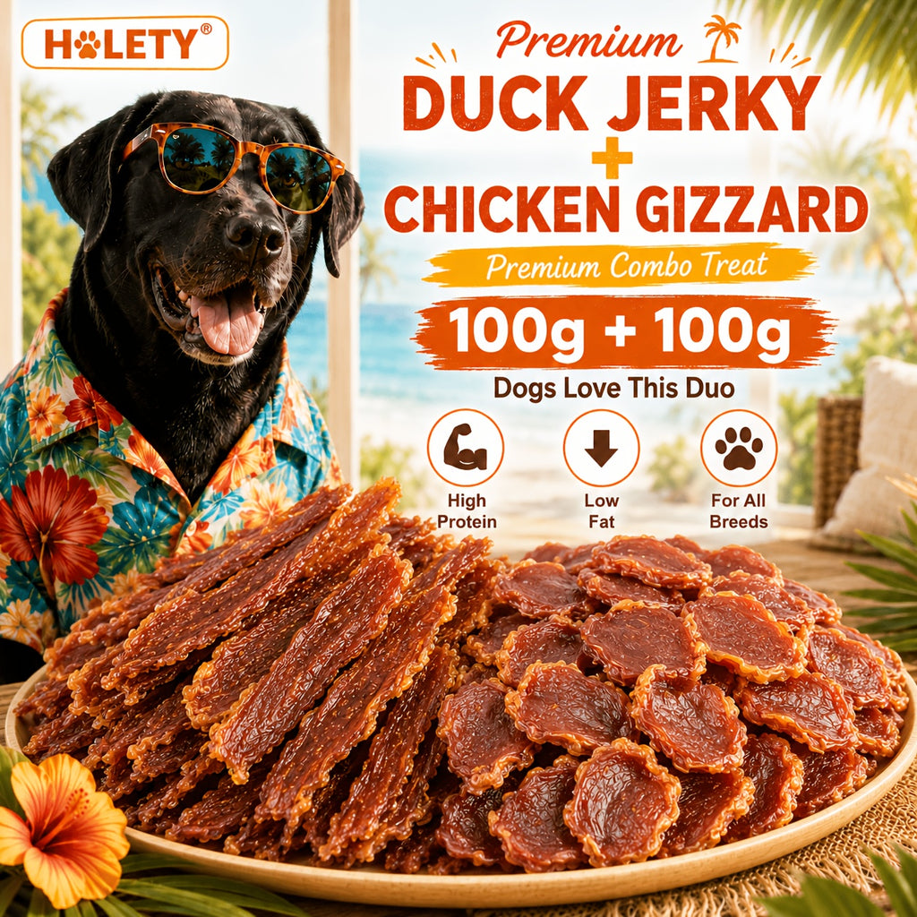 Chewy Duck Jerky Dog Treats for Supervised Training and Daily Rewards, Happy Beak Bites, Duckie Delights and Dual Flavor Pack Options