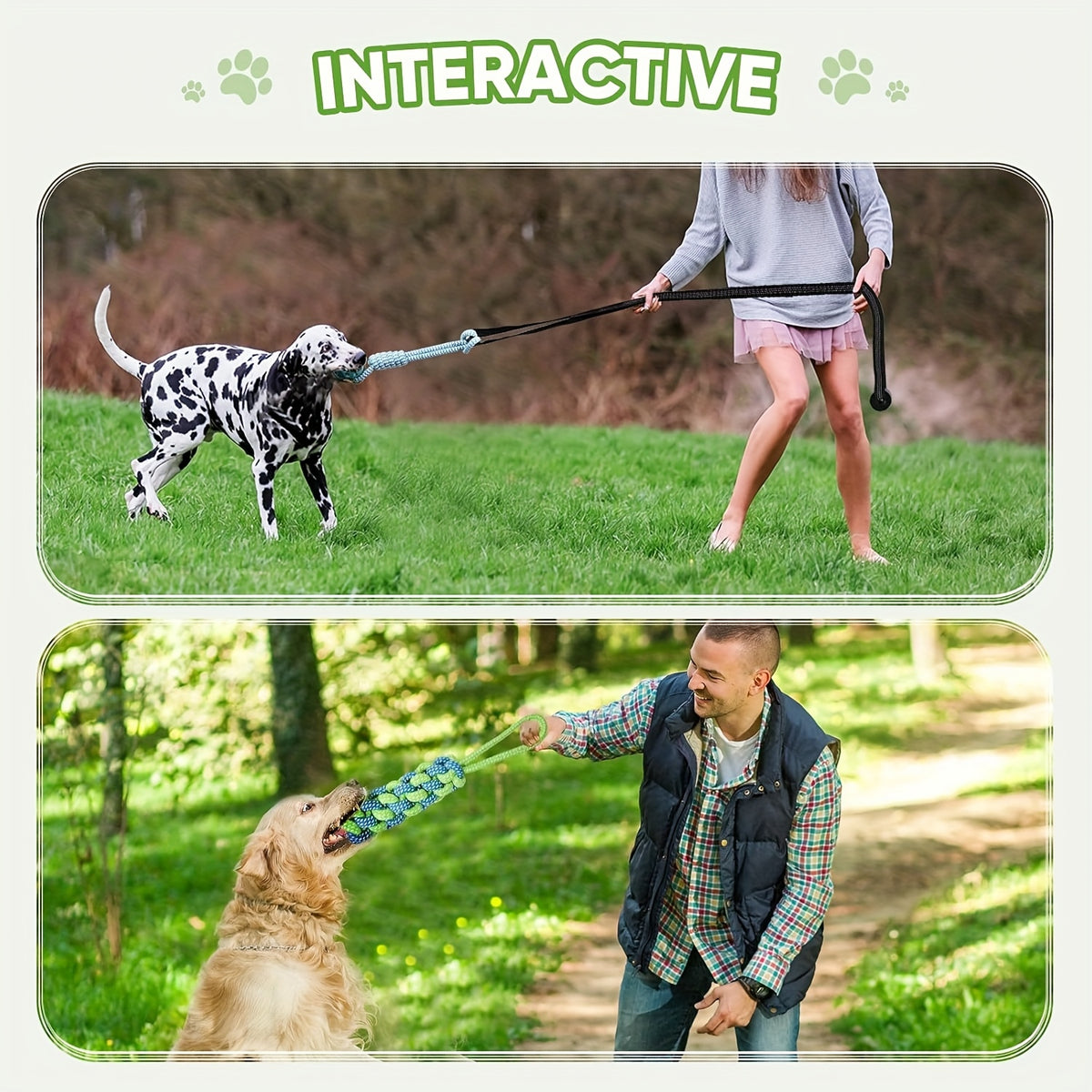 Dog Bungee Tug Toy Set for Small and Medium Dogs, Tree Hanging Tether with Two Chew Ropes and Puzzle Ball for Interactive Backyard Play
