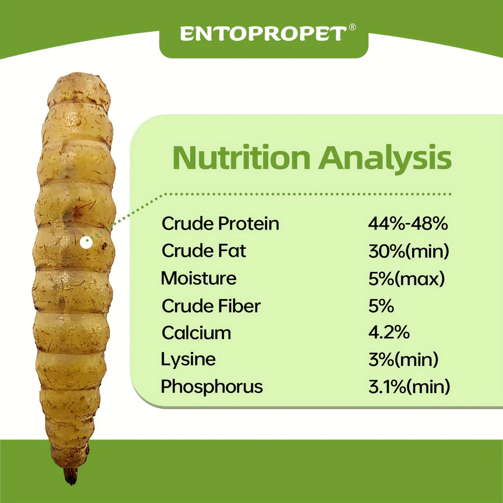 Bulk Dried Black Soldier Fly Larvae 30 lb, Single-Ingredient BSFL Chicken Treats for Backyard Hens, Ducks and Birds, Supplemental Foraging Snacks