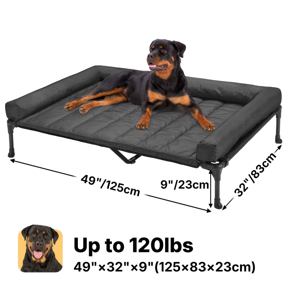 Elevated Dog Bed with Removable Pillow-Top Mat, Three-Sided Bolster Pet Cot with Breathable Teslin Mesh, Steel Frame and Non-Slip Feet in Four Sizes