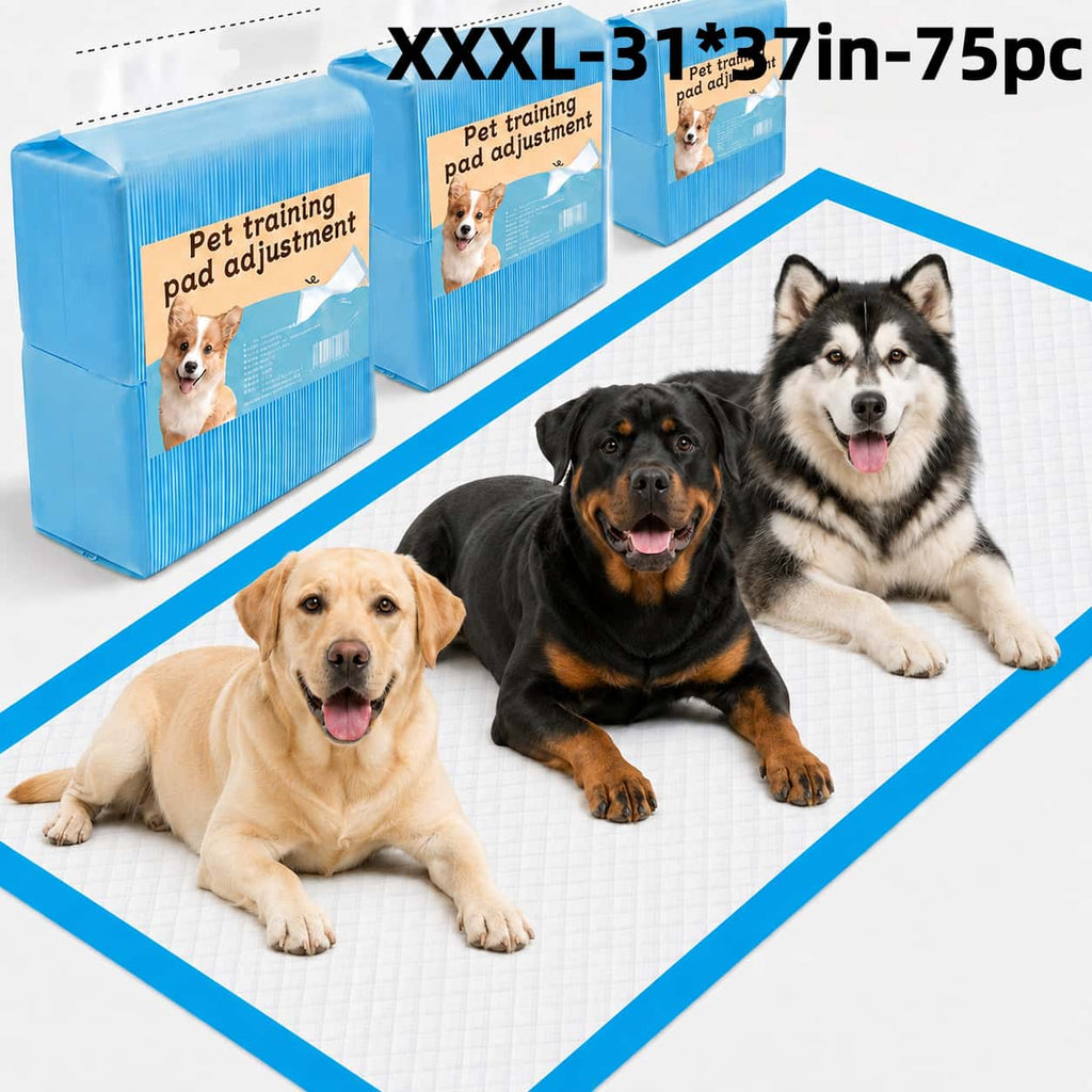 Dog Pee Pads 31 x 37 Inch, 75 Count Extra Large Disposable Puppy Training Pads with Seven-Layer Absorption for Large Dogs and Multi-Pet Homes