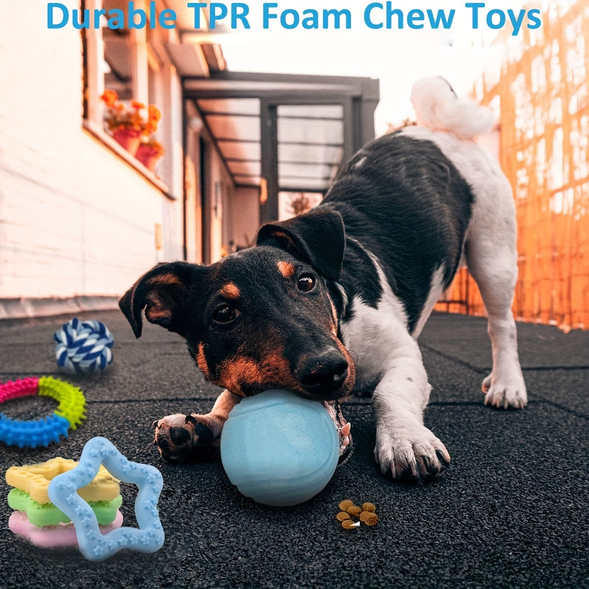 Assorted Puppy Toys for Small Dogs, Random 3 or 12 Piece Chew and Play Toy Packs for Supervised Indoor Games, Toy Rotation and Birthday Gifts