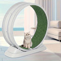 Cat Exercise Wheel with Security Lock and Replaceable Running Pad, Battery-Free Indoor Cat Treadmill with Wide Base, Green or Grey XXL