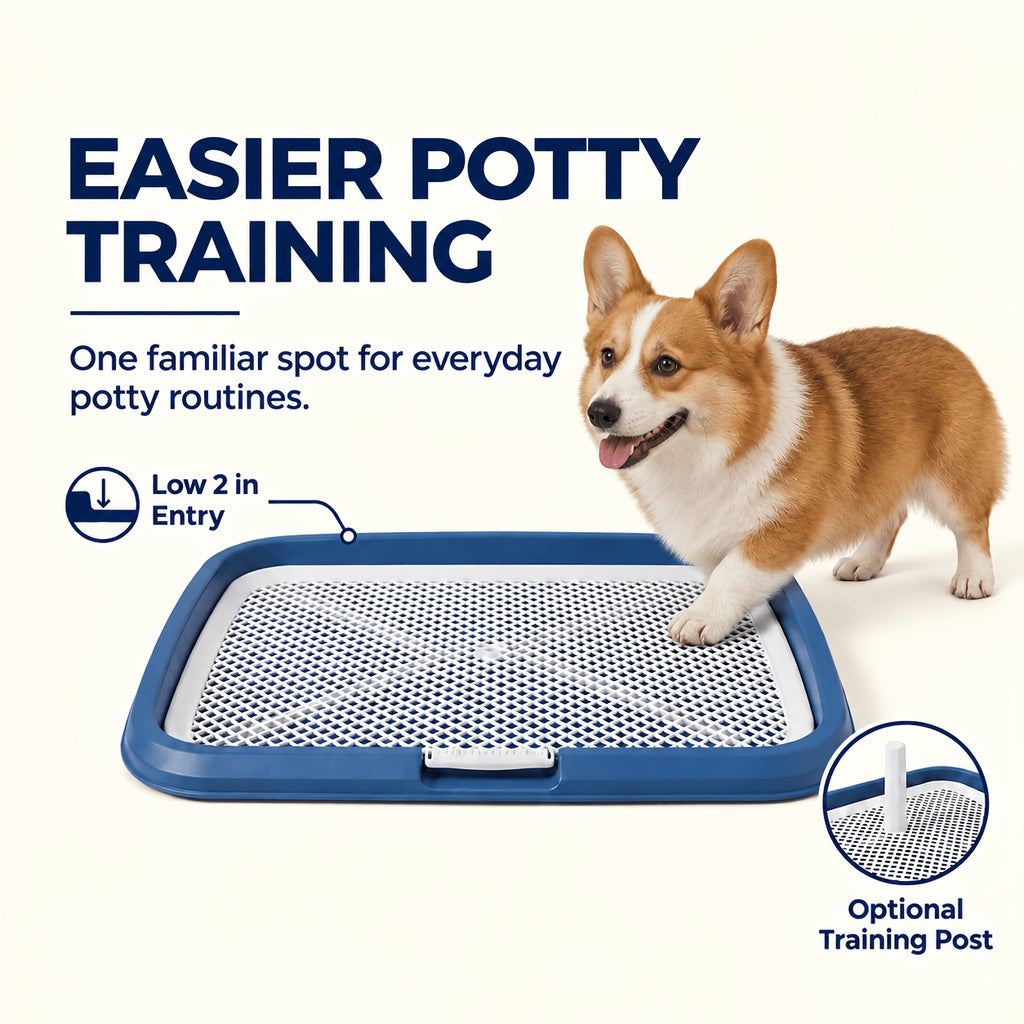 Dog Pee Pad Holder with Removable Grate, Leak-Proof Washable Puppy Potty Training Tray for Indoor Apartment Toilet Routines