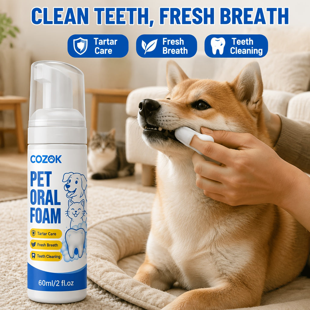 Pet Dental Foam for Dogs and Cats, Honeysuckle, Glycerin and Mint Oral Care Formula for Owner-Managed Teeth Cleaning and Fresh Breath Routines, 1 Piece