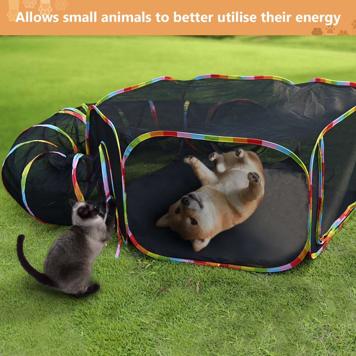 Cat Tent and Tunnel Set, Rainbow Portable Outdoor Cat Playpen with Circle Tunnel for Supervised Backyard Exploration and Everyday Play