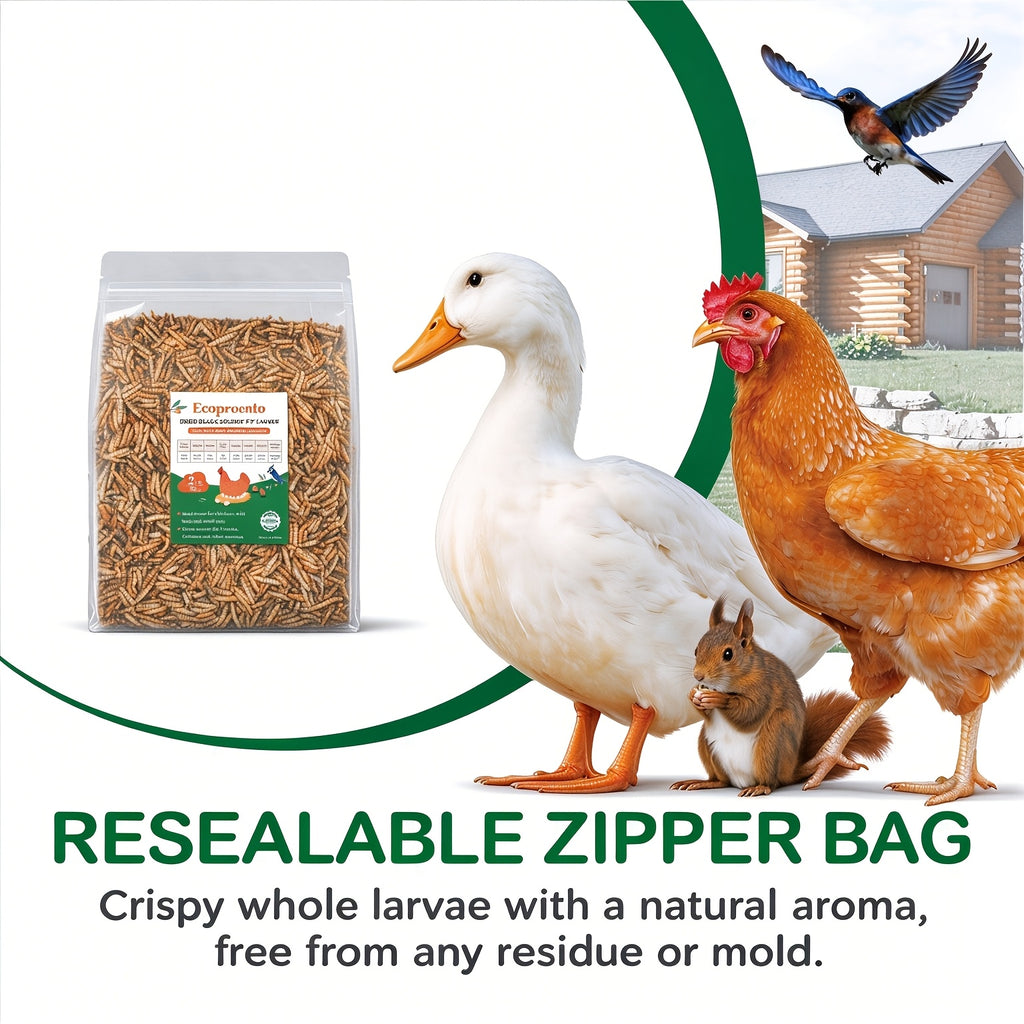 Black Soldier Fly Grubs 10 lb, Dried Larvae Chicken Treats for Backyard Flocks, Ducks and Wild Birds, Bulk Insect Snacks for Foraging Routines